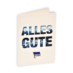 Hertha BSC Badeschuhe, Badeschlappen, Flip-Flops - plus ...