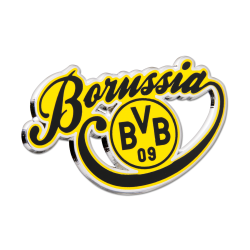 BVB -pin_Schriftzug