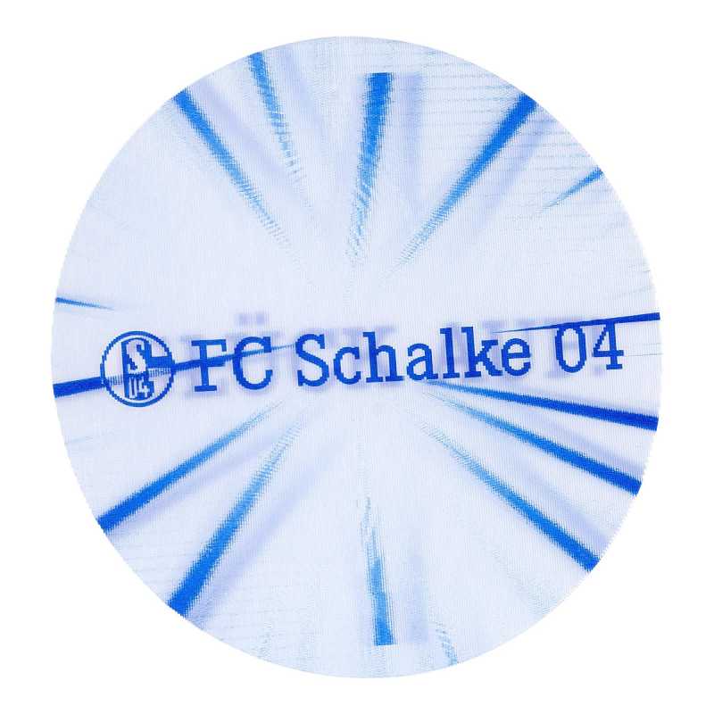 Logo & Schriftzug blau S04 Sticker L FC Schalke 04 Aufkleber Lentikular 1 