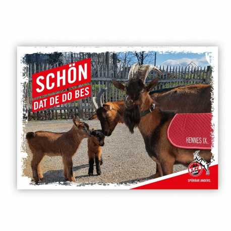 Glückwunschkarte Karte 1 Schön dat de do bes FC Köln Postkarte + L 