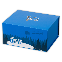 Hertha BSC Berlin Geschenk-Set Weihnachtsbox 5-teilig gefüllt Geschenkbox