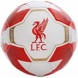 FC Liverpool Fußball Liverbird