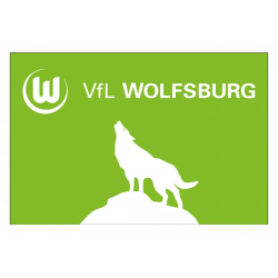 VfL Wolfsburg Hissfahne - Heulender Wolf - 120 x 180 cm Fahne Flagge