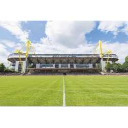 Borussia Dortmund Poster - Stadion - 61 x 91.5 cm BVB 09