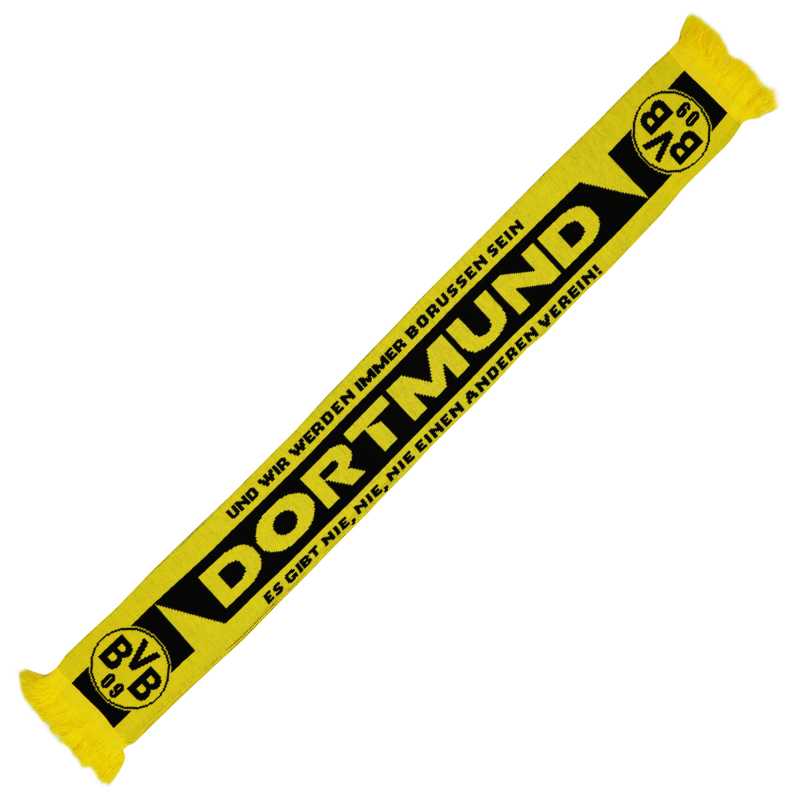 bvb schal