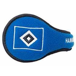 HSV
