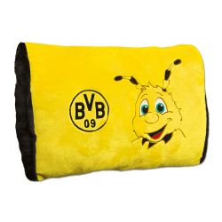 BVB